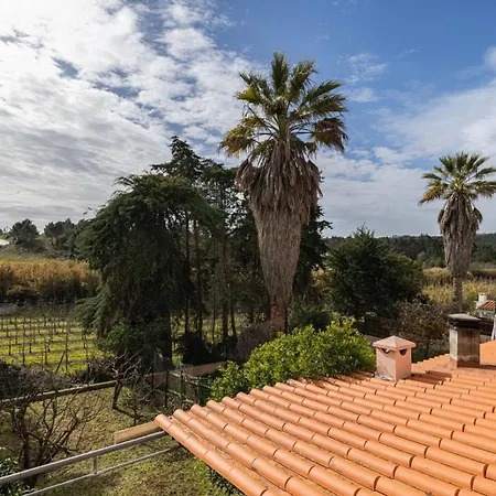 Hidden Garden Near The Castle Обидуш